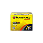 BATERIA C31S-700 100 Ah - 700 CCA